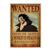 Avis De Recherche Monkey D Dragon Wanted