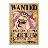 Avis de Recherche Charlotte Linlin Wanted 42 X 30 cm