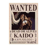 Avis de Recherche  Kaido Wanted 42 x 30 cm